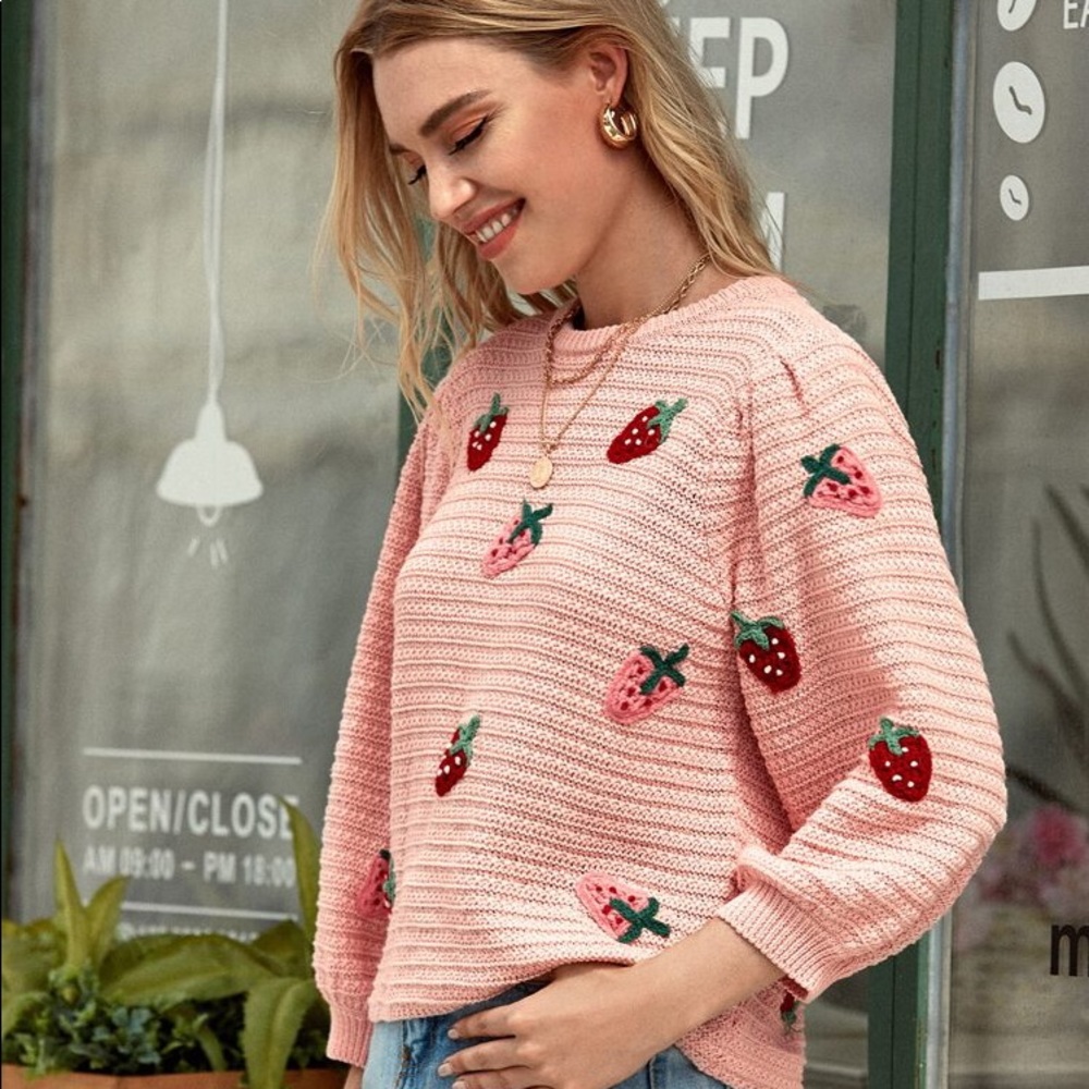 SEARCHING FOR ZARA STRAWBERRY SWEATER - Picture 7 of 9
